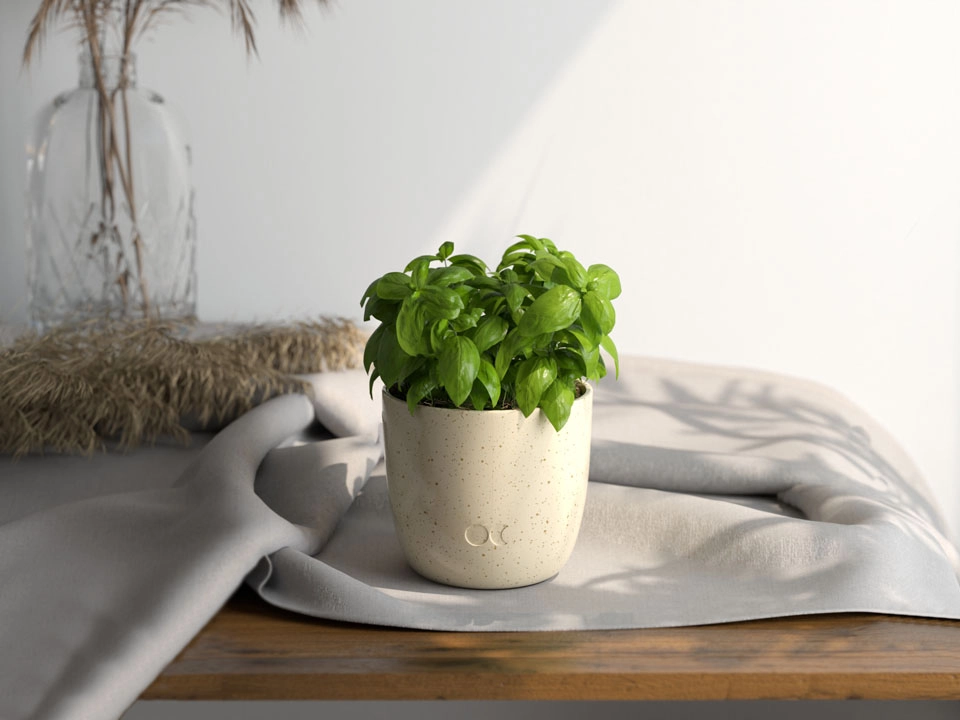 Ceramic scented candle - Bulgarian Rose with seed paper