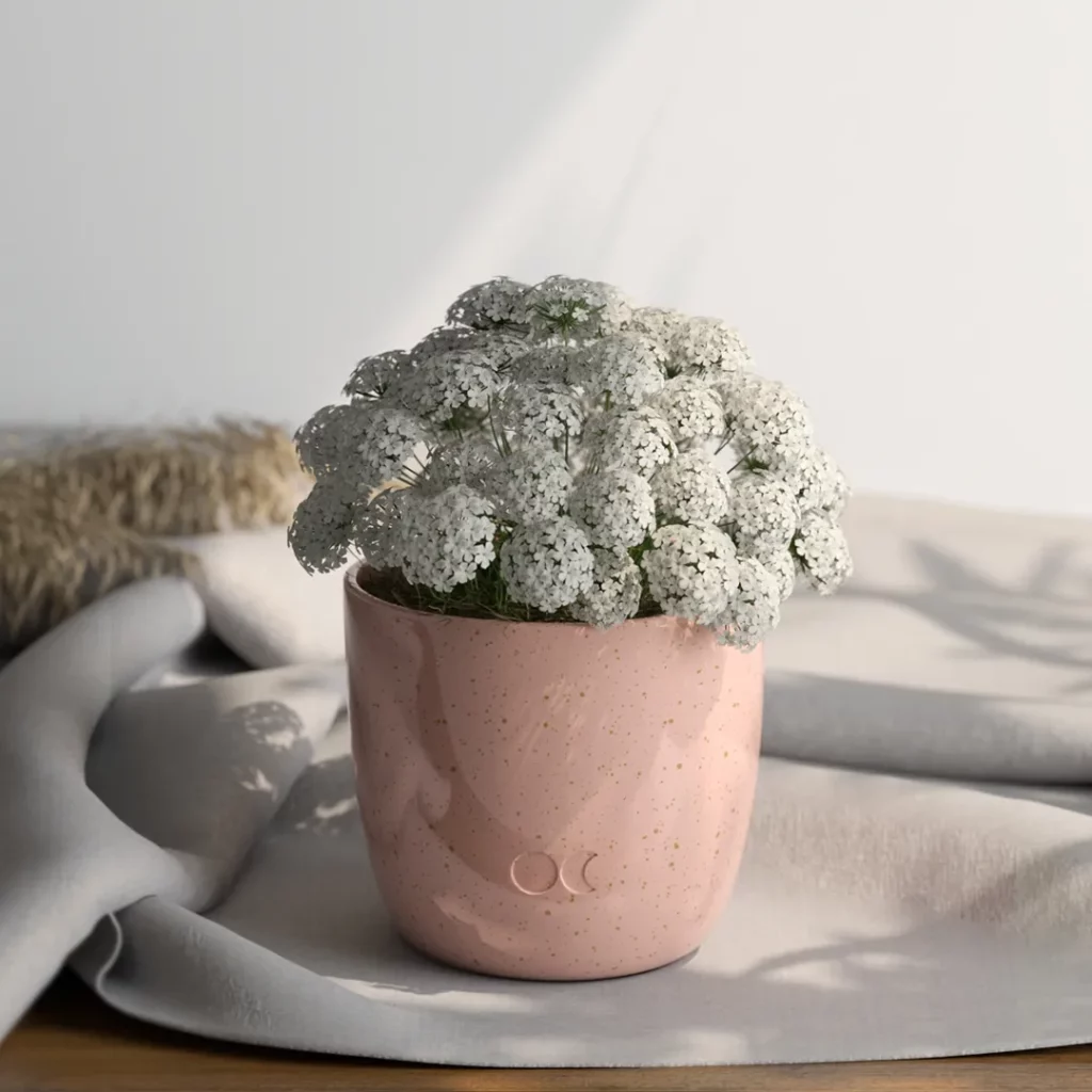 Blumen in einem Glas nach einer Kerze