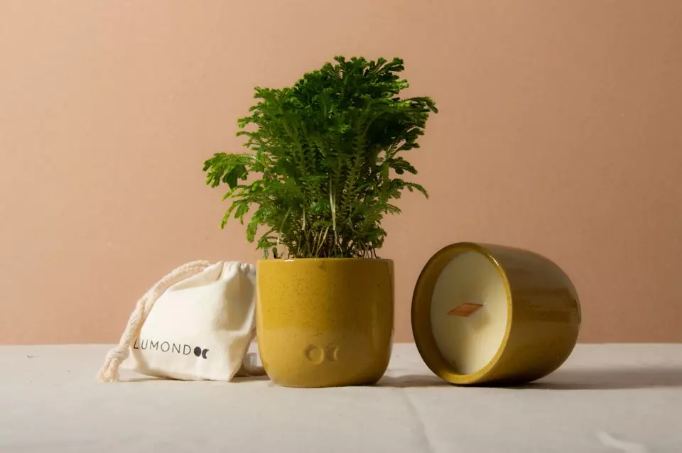 How are scented candles made? - 1