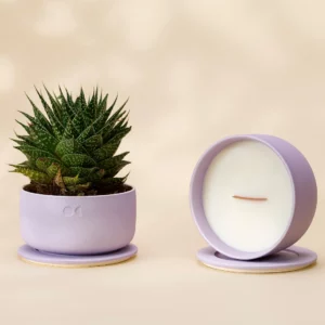 Vela de Cerâmica Florescente – Flor de Cerejeira – 440g