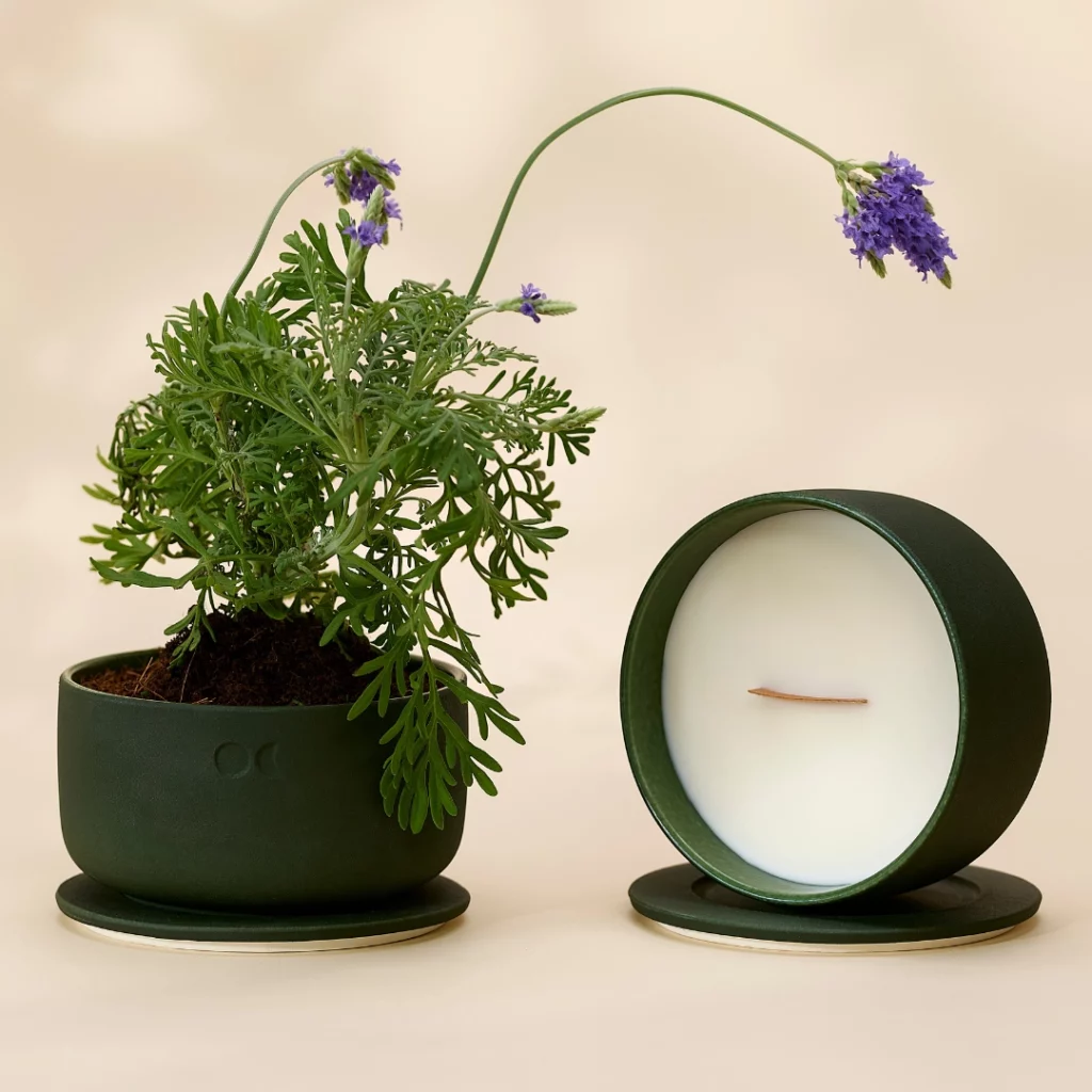 BLÜHENDE KERAMIKKERZE - WACHOLDER LAVENDEL - 440G