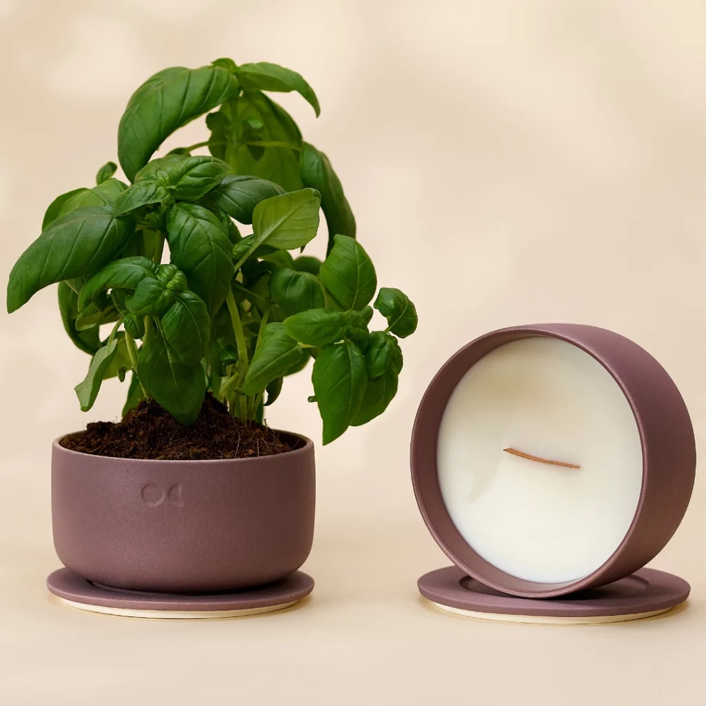 BLÜHENDE KERAMIKKERZE - LIMETTE BASILIKUM UND ZITRUSFRÜCHTE - 440G