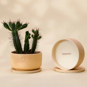 Vela de Cerâmica Florescente – Jasmim – 440g