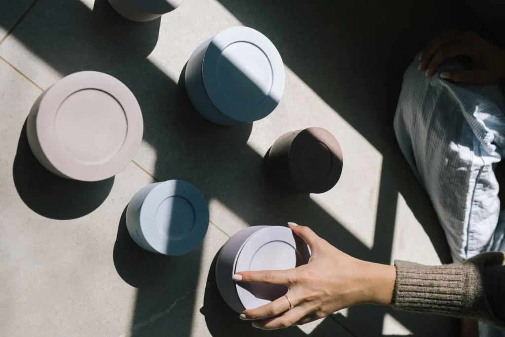 Pflanzen kerzen Lumond