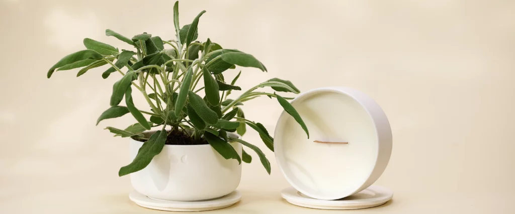 duftkerze weihnachten