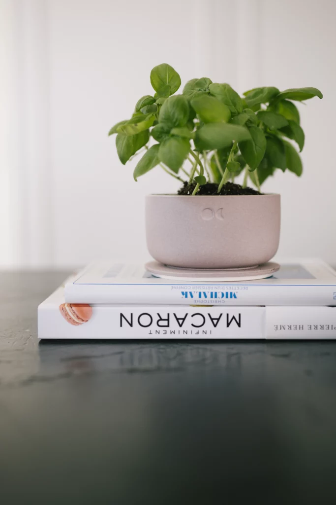 bougie fête des mères