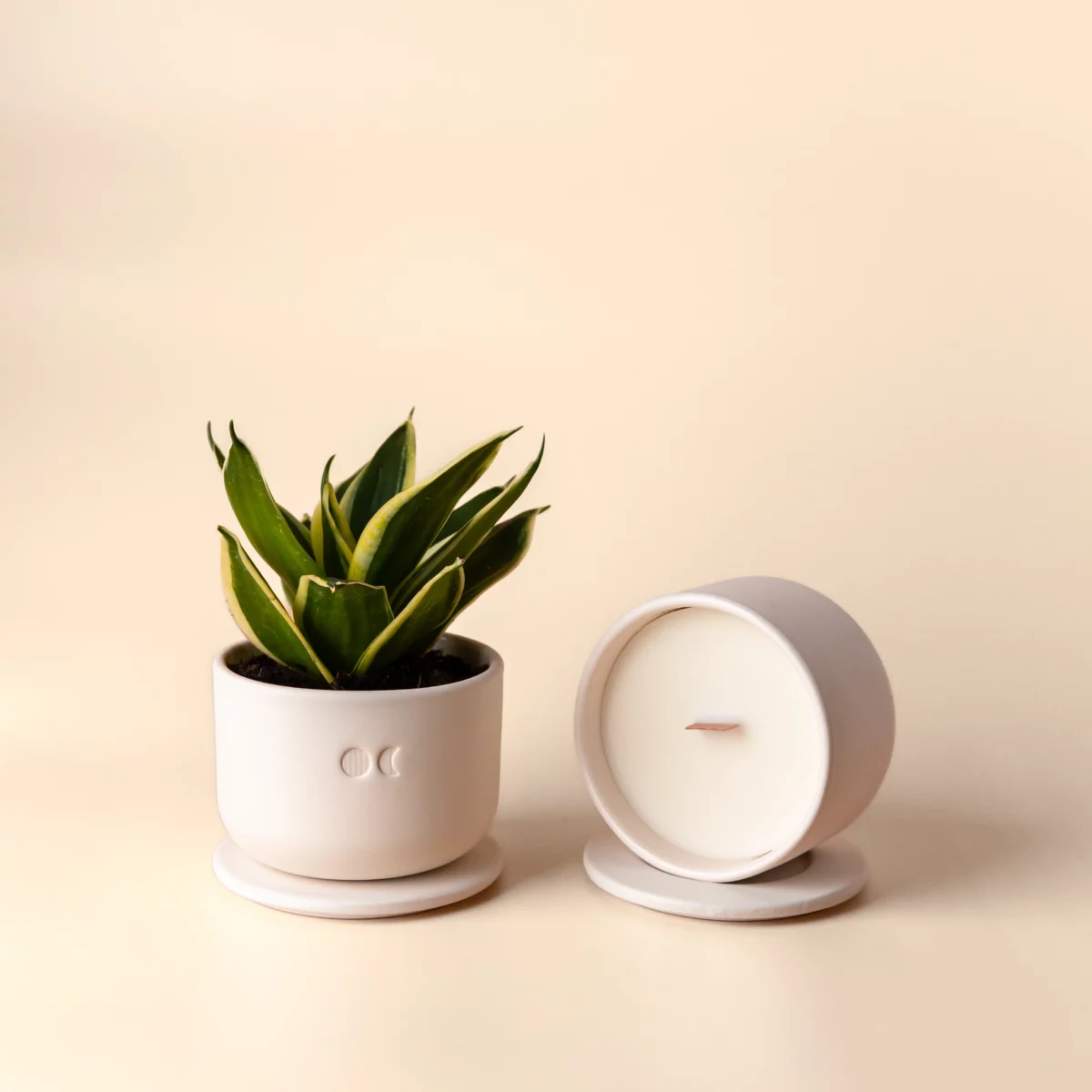 Blühende Keramikkerze - Eukalyptus - 220g