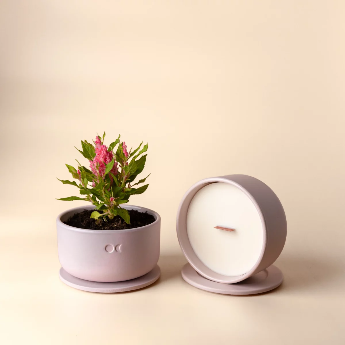 Blühende Keramikkerze - Oud & Rosen - 440g