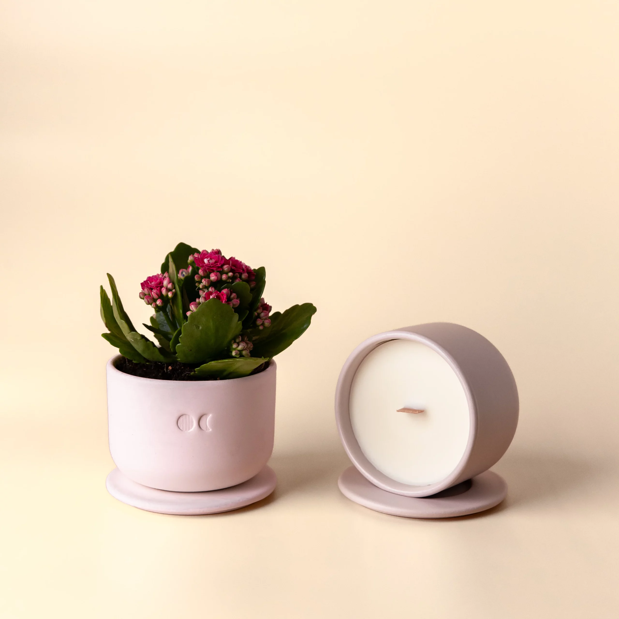 Blühende Keramikkerze - Oud & Rosen - 220g