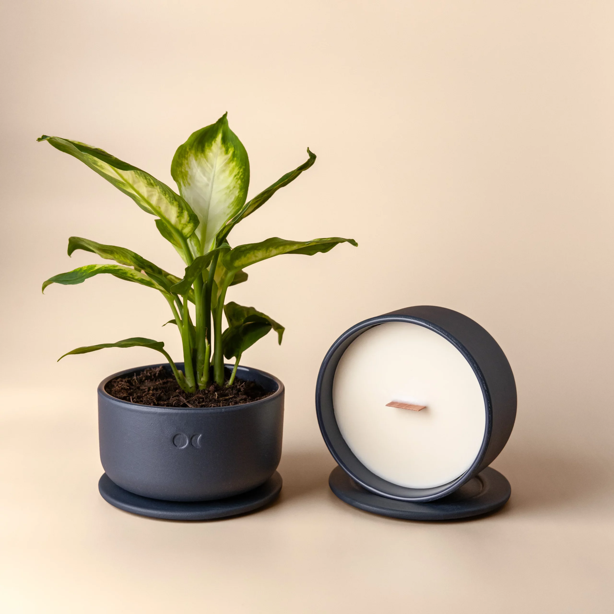 Bloeiende Keramische Kaars – Sandelhout & Jasmijn – 440g