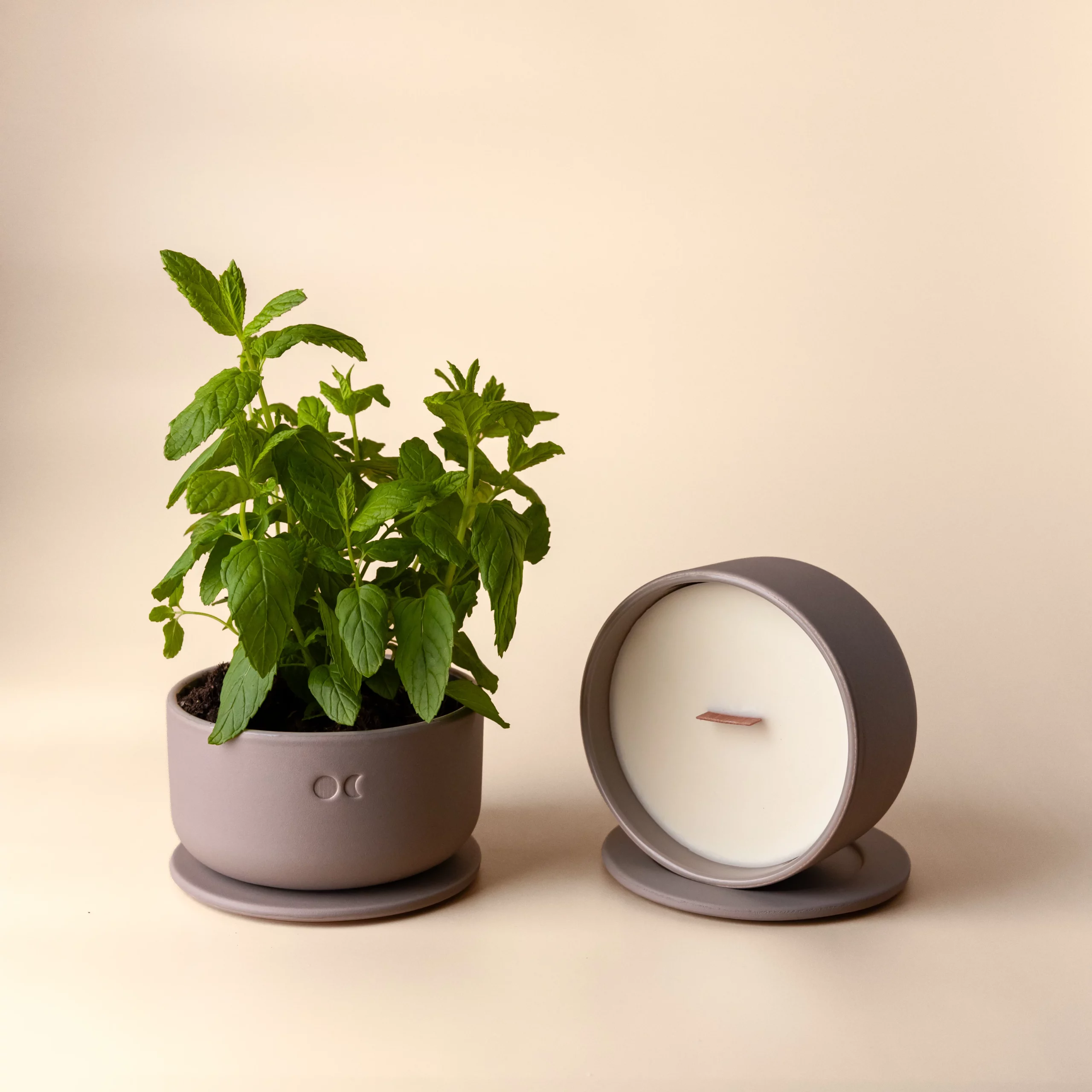 Bloeiende Keramische Kaars – Tabak & Honing – 440g