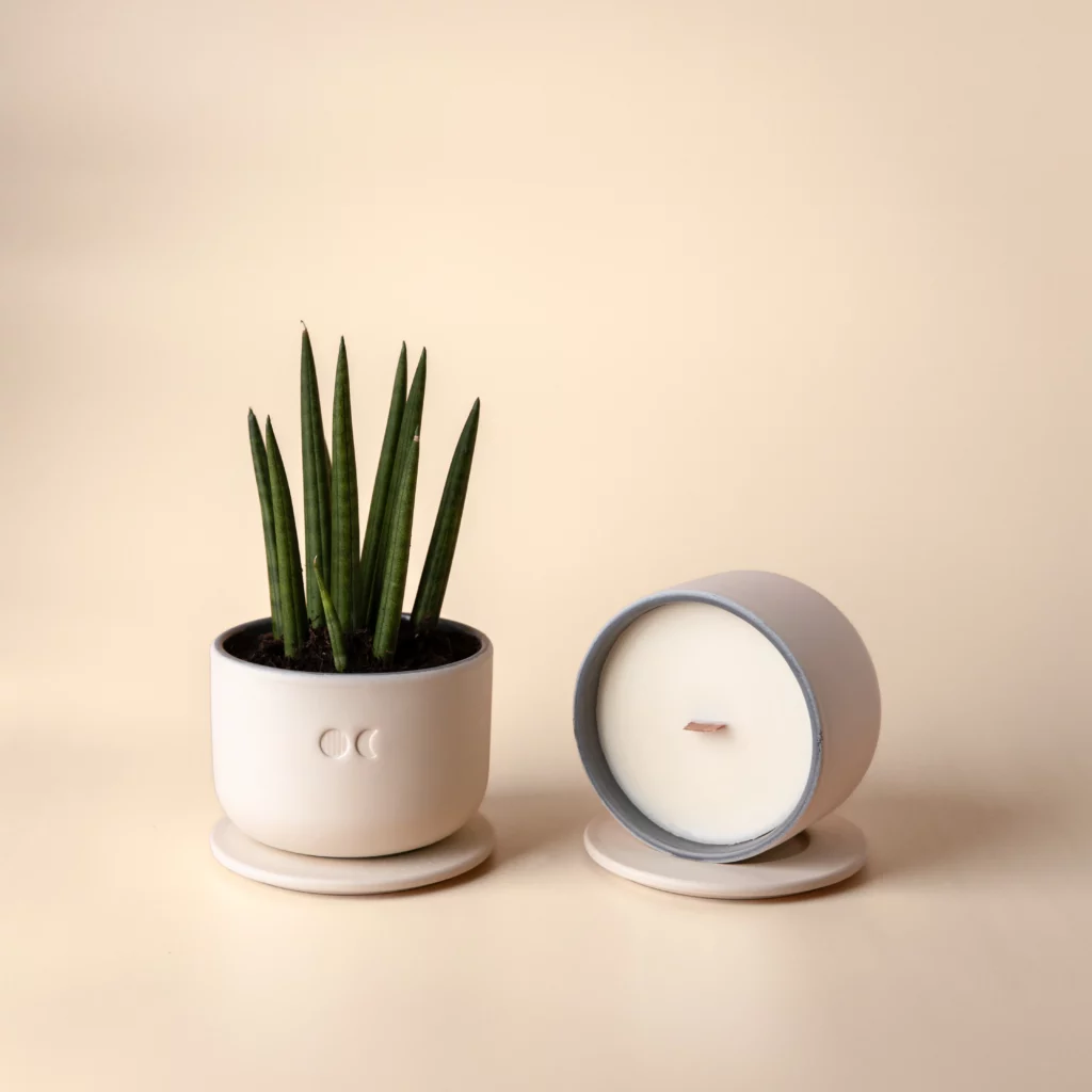 BLÜHENDE KERAMIKKERZE - VETIVER - 220G