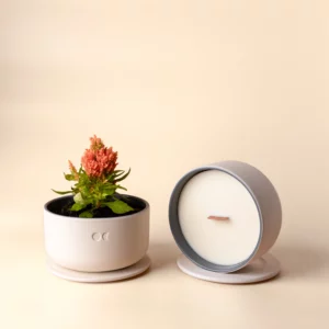 Blooming Ceramic Candle – Vetiver – 440g